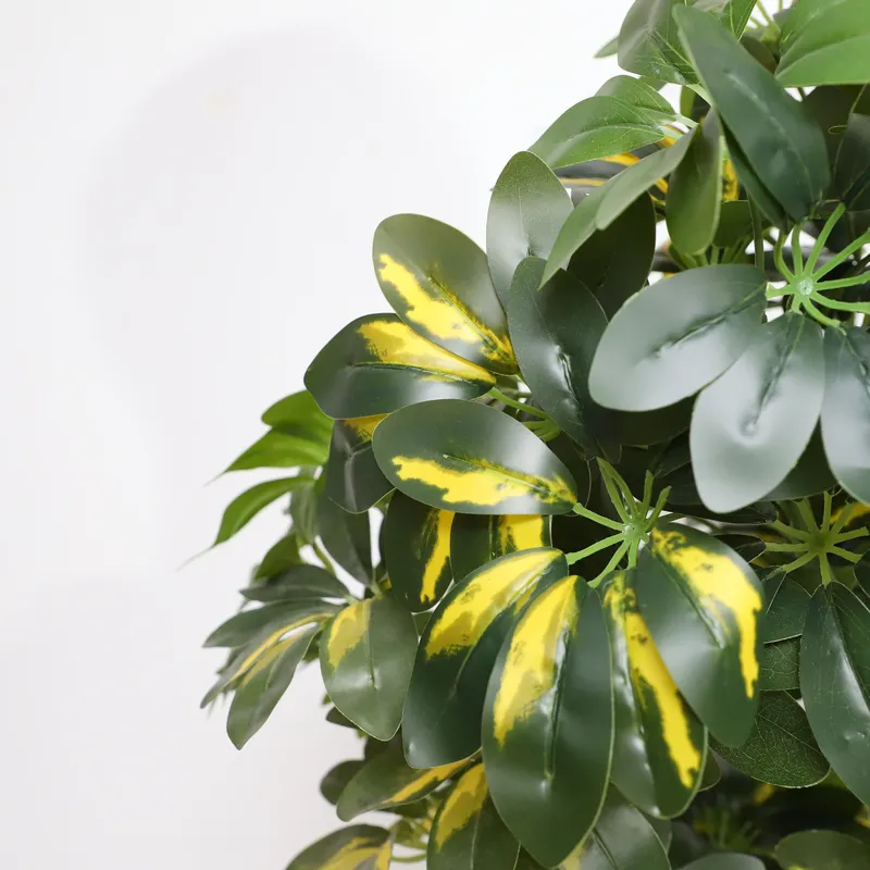 Wholesale Factory Direct Price - огляд і ціна Bonsai Garden Price