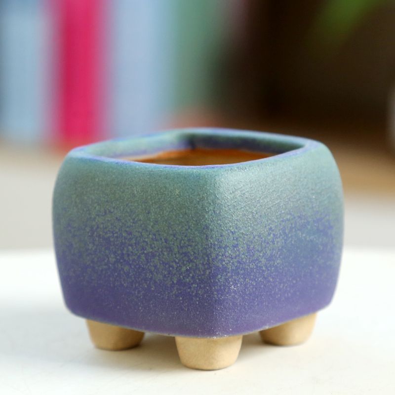 Mini Fleshy Flowerpot Ceramic， - огляд і ціна Training Pot Ceramic