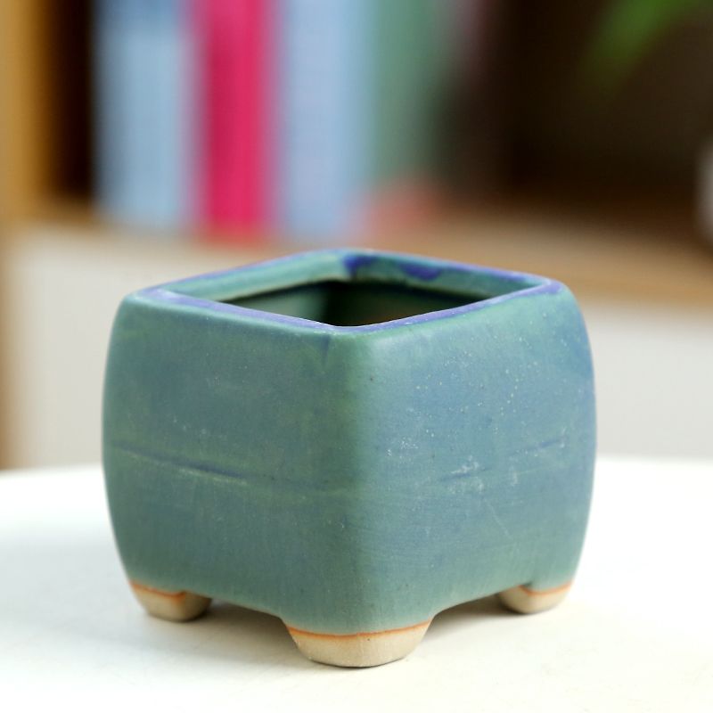 Mini Fleshy Flowerpot Ceramic， - огляд і ціна Training Pot Ceramic