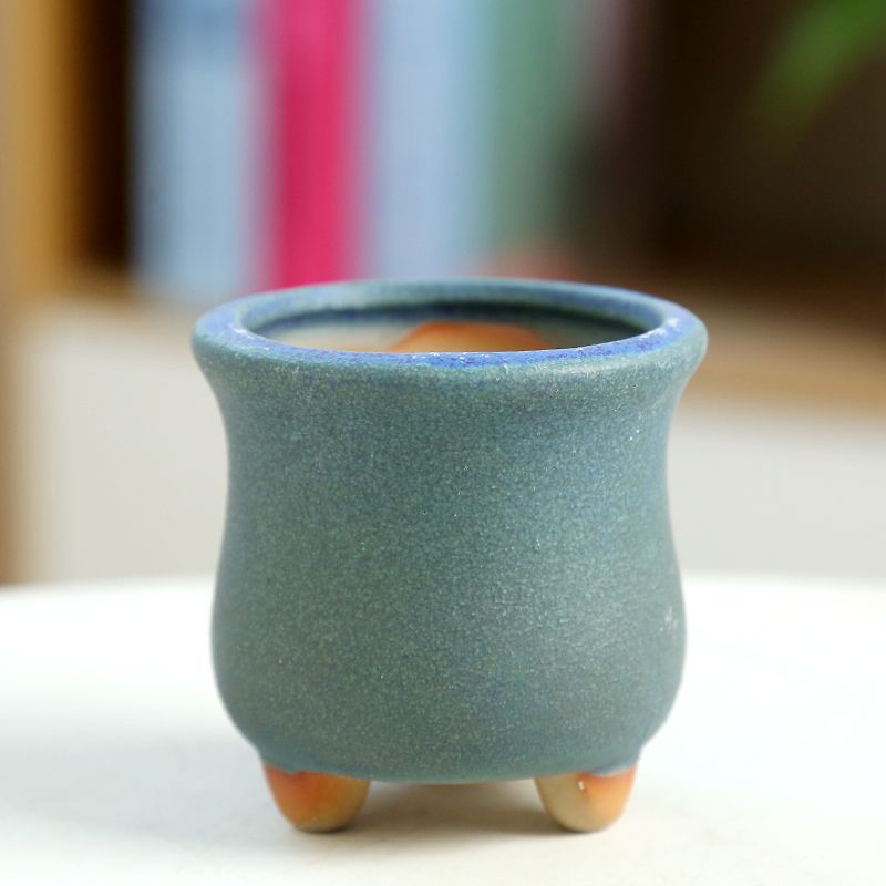 Mini Fleshy Flowerpot Ceramic， - огляд і ціна Training Pot Ceramic