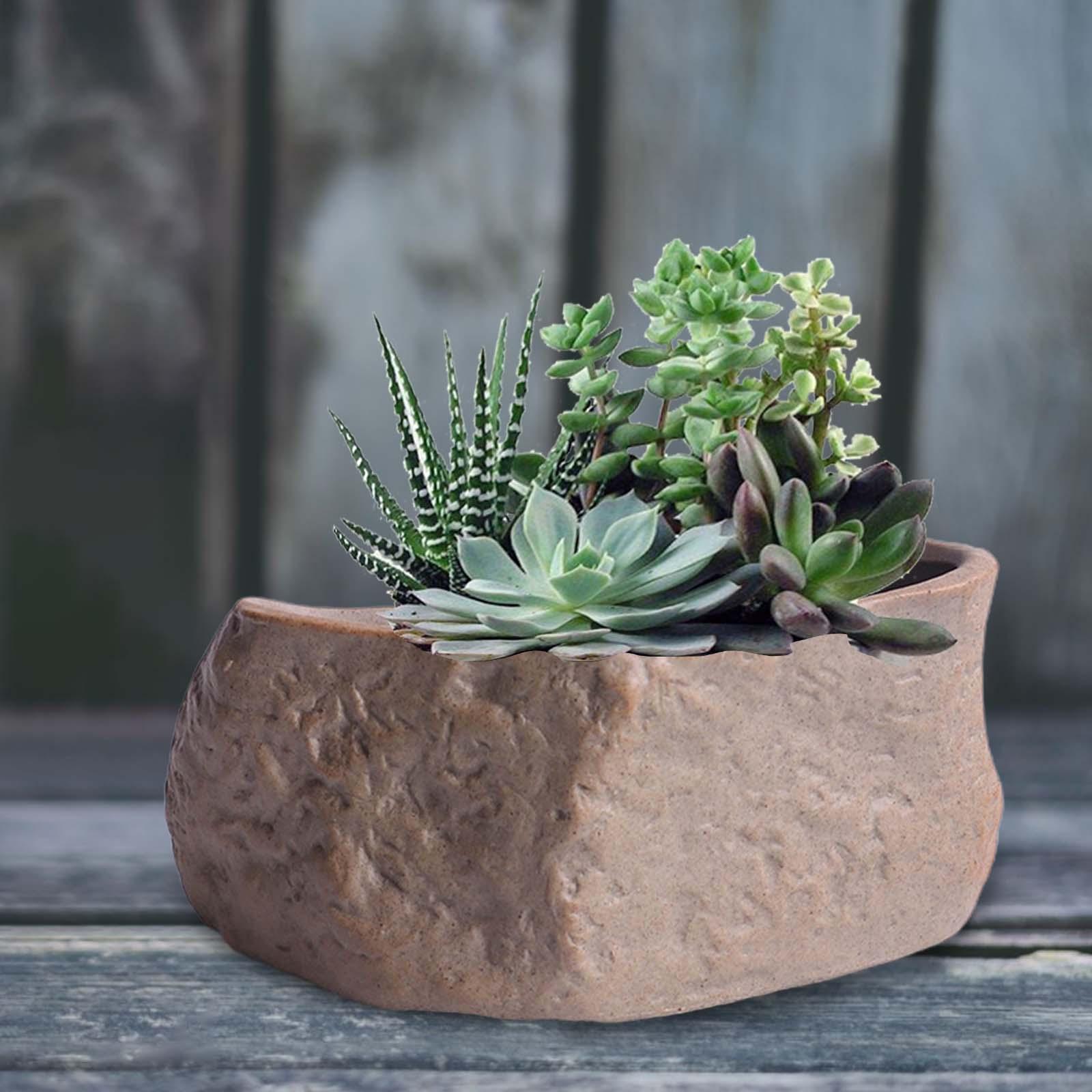 Ceramic Succulent Pot Lightwei - огляд і ціна Training Pot Ceramic