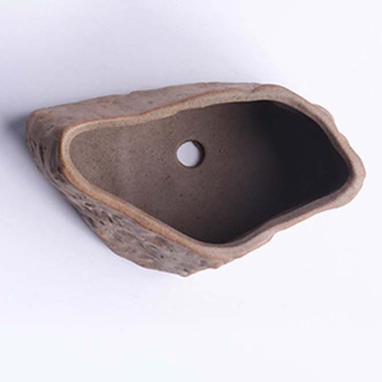 Ceramic Succulent Pot Lightwei - огляд і ціна Training Pot Ceramic