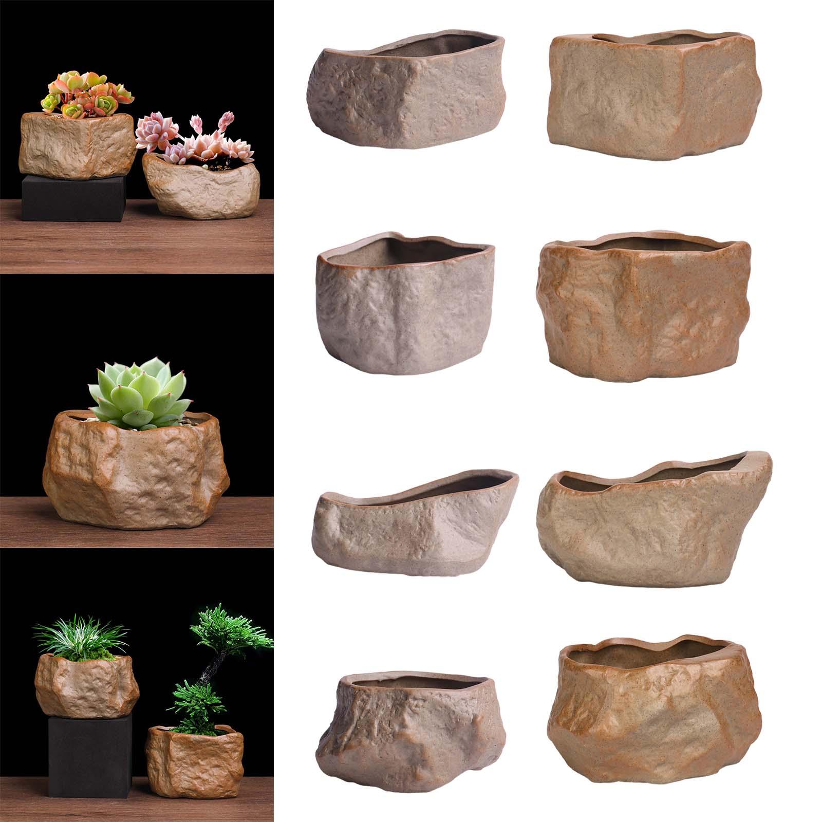 Ceramic Succulent Pot Lightwei - огляд і ціна Training Pot Ceramic
