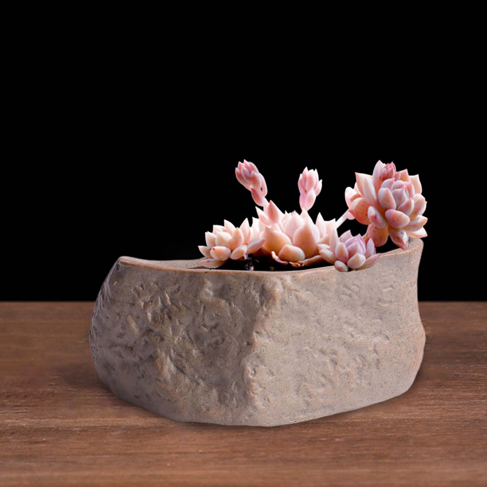 Ceramic Succulent Pot Stone Sh - огляд і ціна Training Pot Ceramic