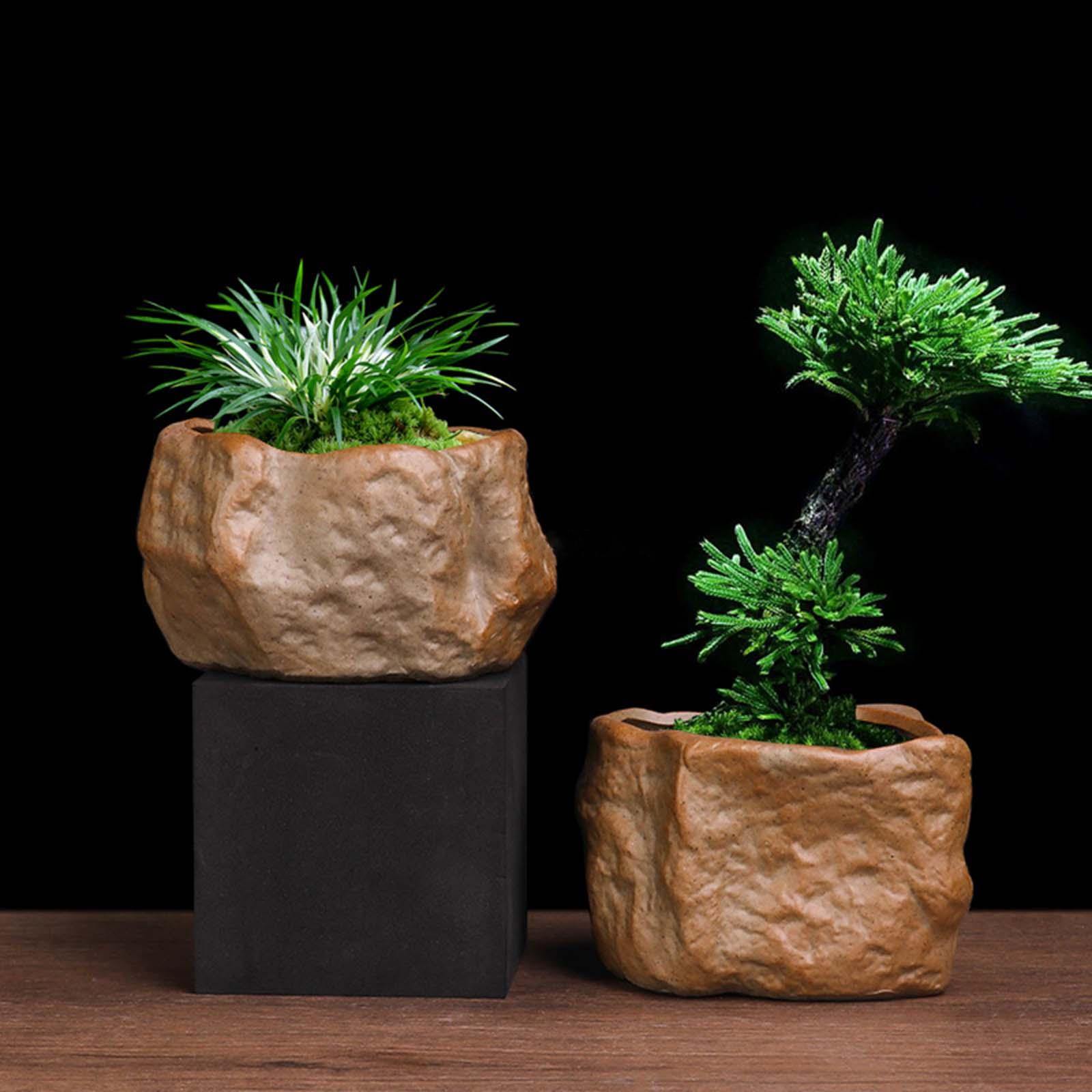 Ceramic Succulent Pot Stone Sh - огляд і ціна Training Pot Ceramic